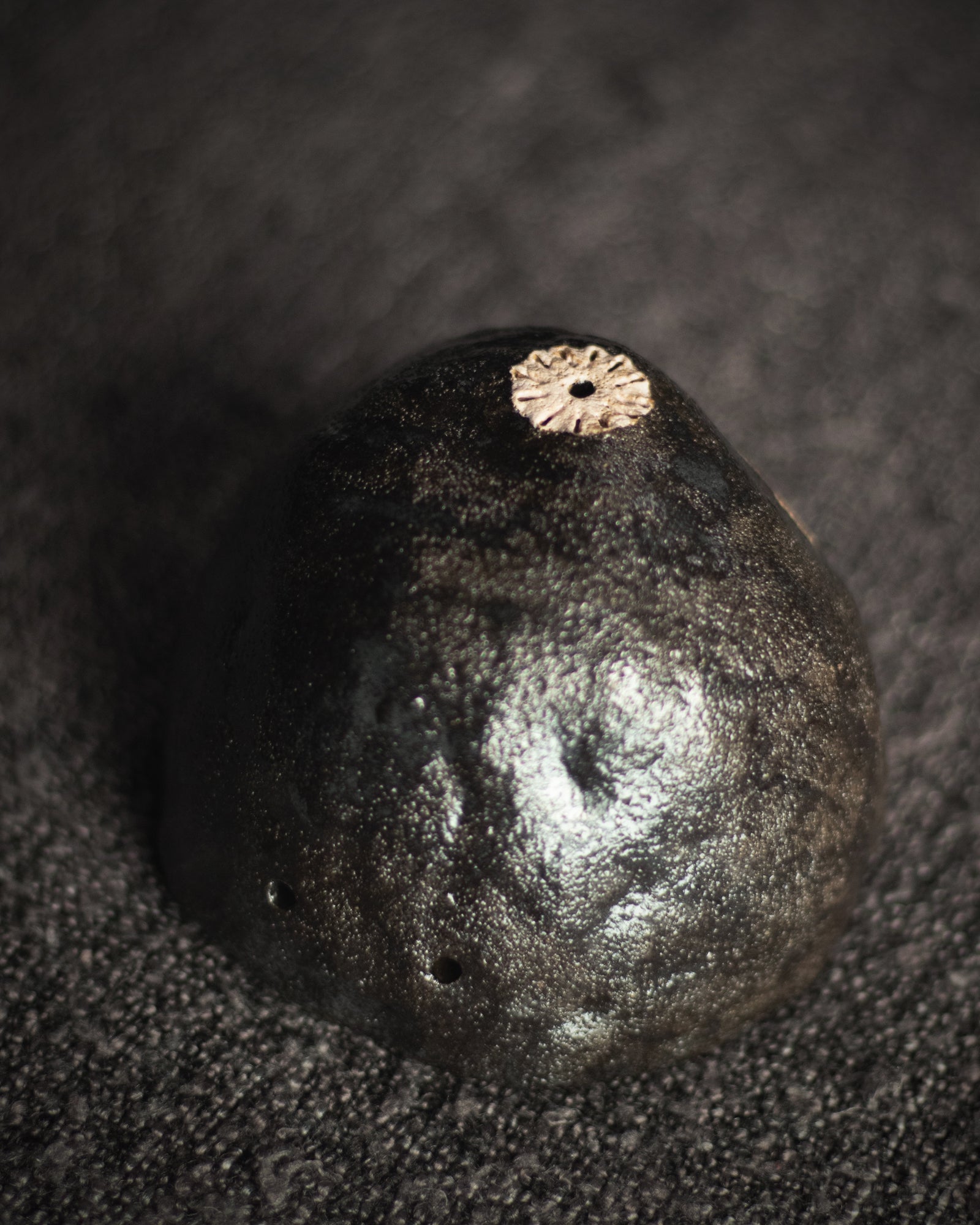 Monster Burner (Black)